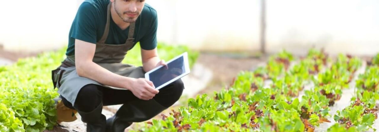Quels sont les fondamentaux pour son processus de Lead Nurturing ?