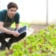Quels sont les fondamentaux pour son processus de Lead Nurturing ?