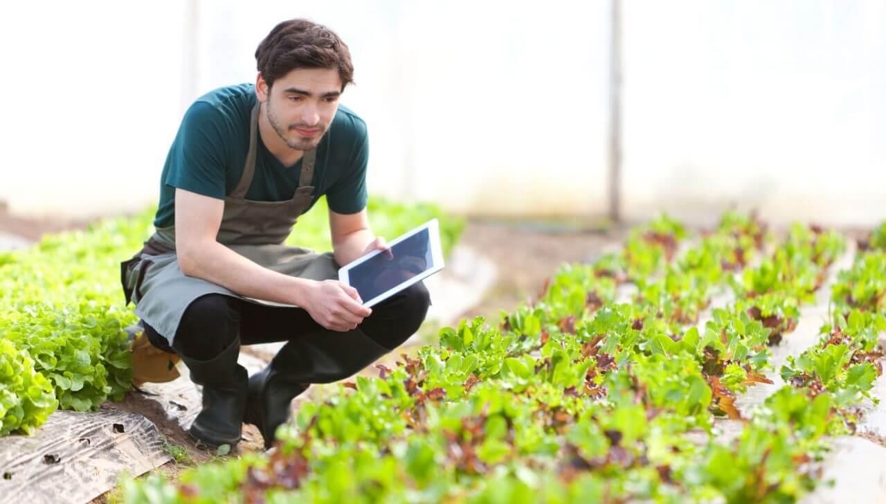 Quels sont les fondamentaux pour son processus de Lead Nurturing ?